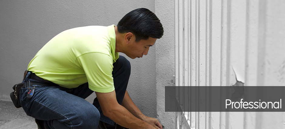 repairing gate